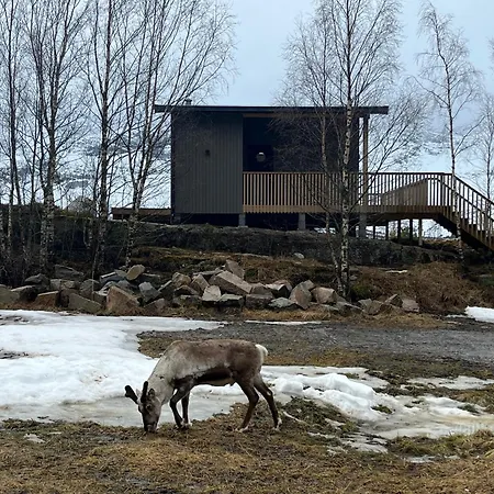 Efjord And Stetind - Kulhorn
