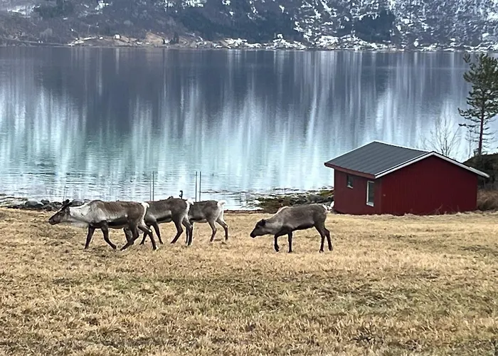 Semesterbostad Efjord And Stetind - Kulhorn