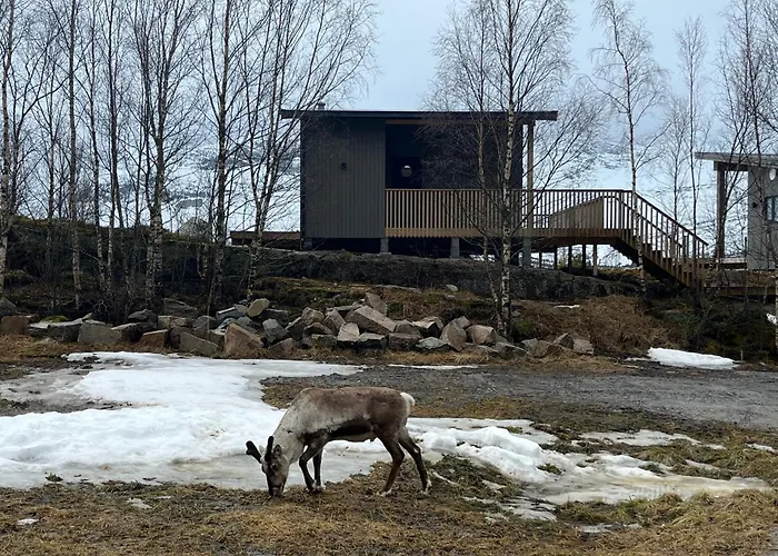 Efjord And Stetind - Kulhorn