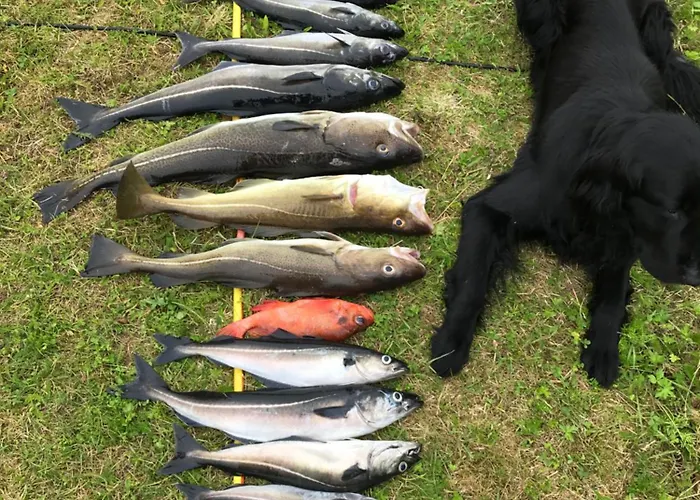 Efjord And Stetind - Kulhorn * Ballangen