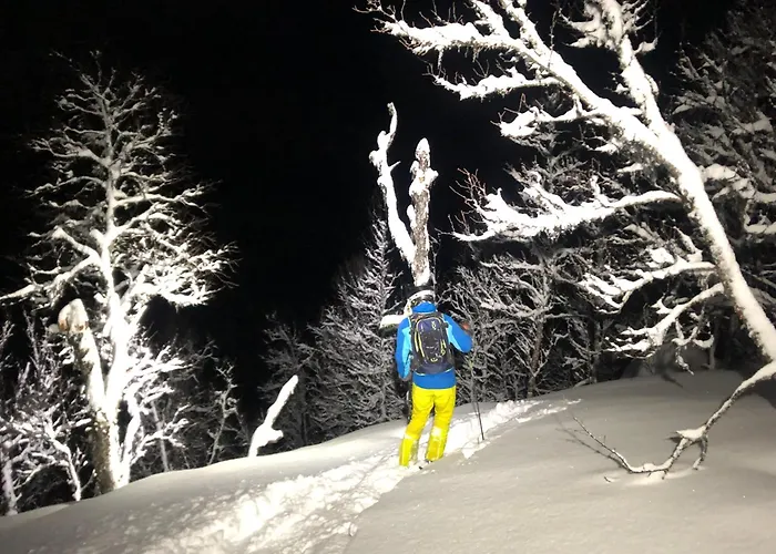 Efjord And Stetind - Kulhorn Ballangen