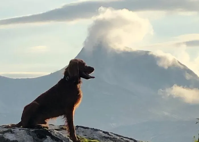 Semesterbostad Efjord And Stetind - Kulhorn Ballangen